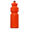 Budget Bottles Orange